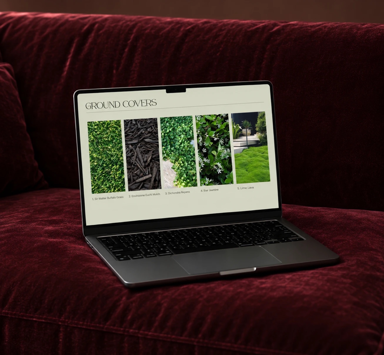 The Timeless Edit · Landscape Specification